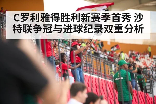 soccer stadium crowd