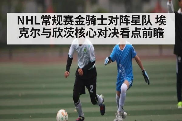 NHL常规赛金骑士对阵星队 埃克尔与欣茨核心对决看点前瞻